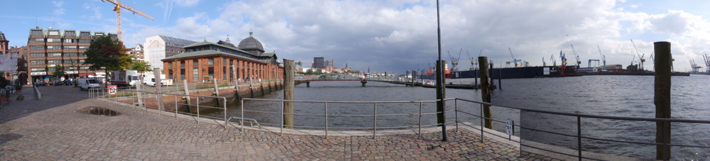 Looking east toward the main city and warehouse district.